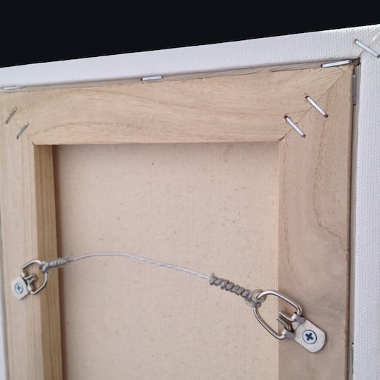 Shop For The Canvas Flat Mount Wire D Ring Hanger Kit 25lb At
